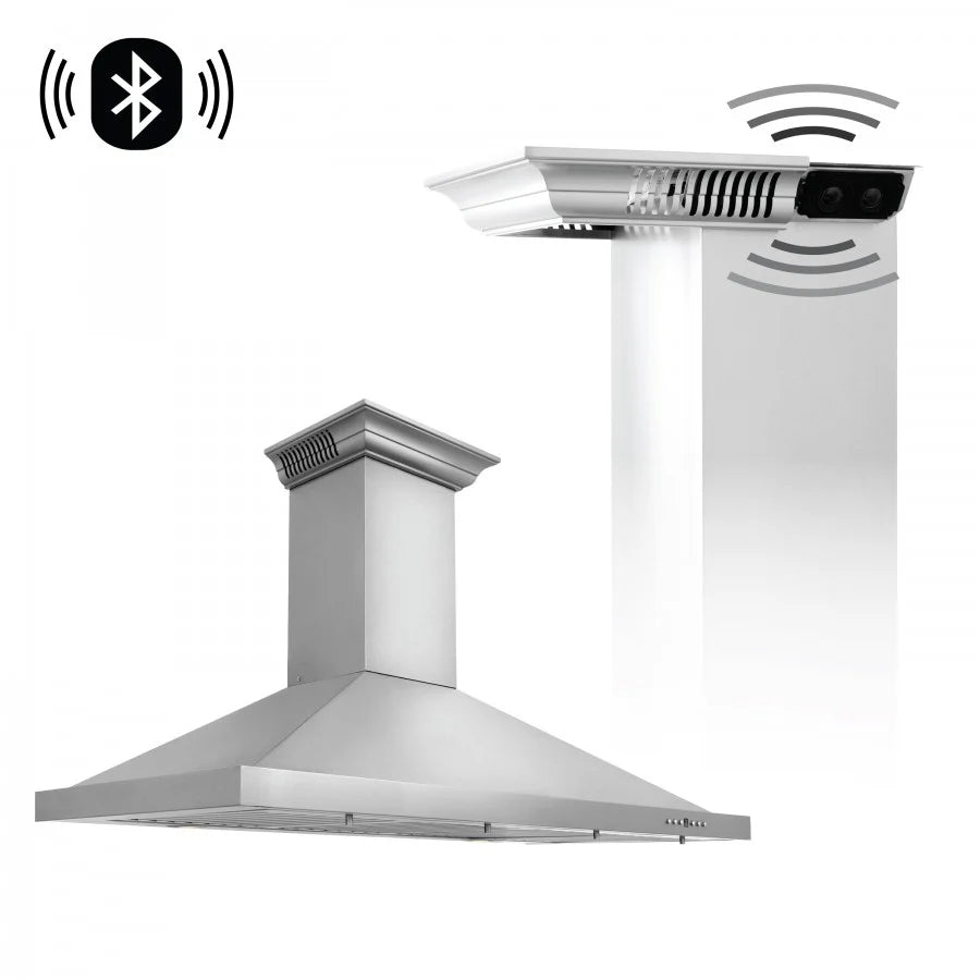 42 in. Stainless Steel Wall Range Hood with Bluetooth Speakers G155869