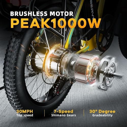 1000W Folding Electric Bike 48V 20.8AH Removable Battery 20" Fat Tire F3031
