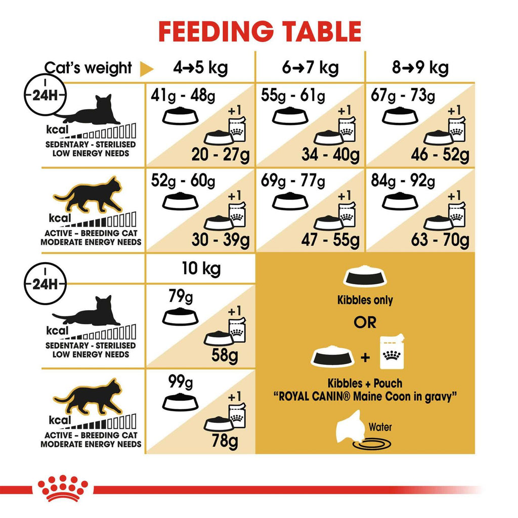 Maine Coon Dry Cat Food G5481