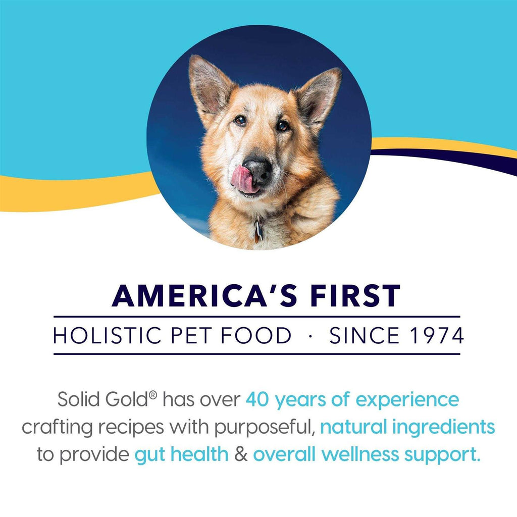 Solid Gold Beef Bone Broth with Turmeric Dog Food Topper M188