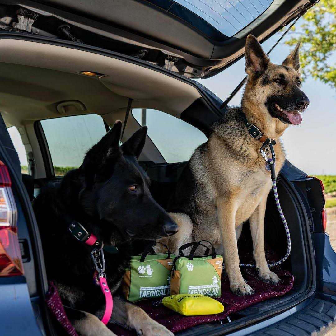 Dog First Aid Kit R281