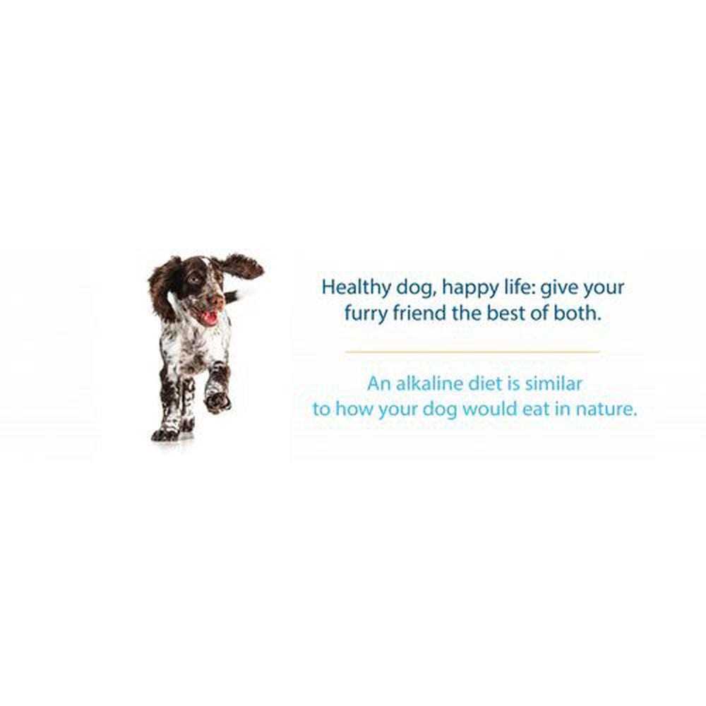 Limited Ingredient Dry Dog Food K1518