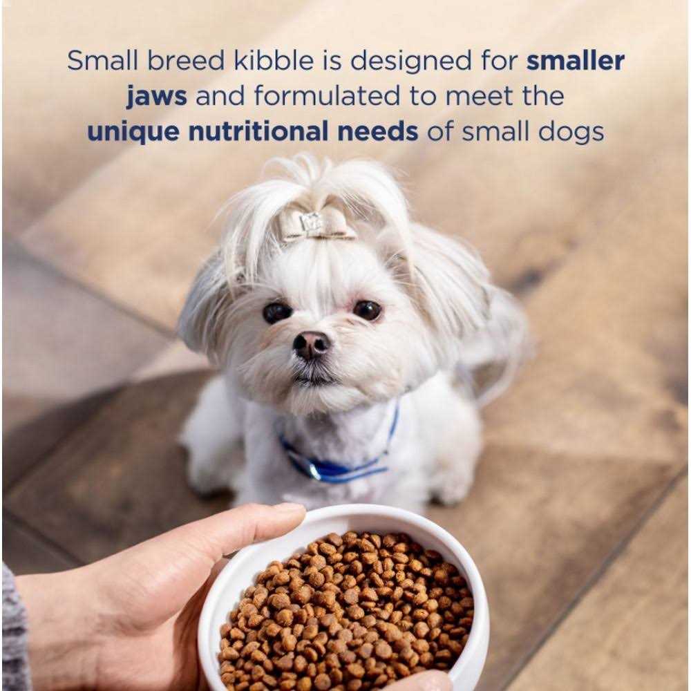 Grain Free Salmon & Sweet Potato Small Breed Dry Dog Food C7994