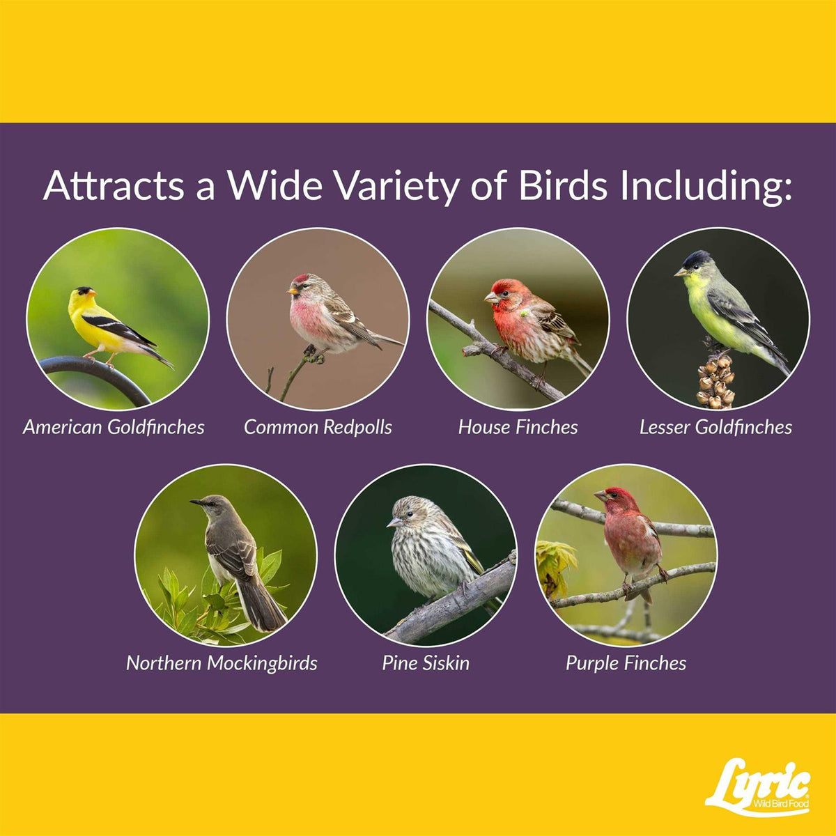 Small Songbird Wild Bird Food R5397