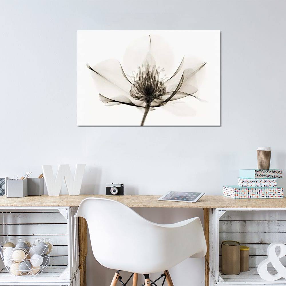 Canvas Wall Decor Prints R792403