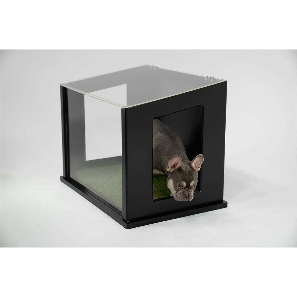 Dog or Cat Potty Y329