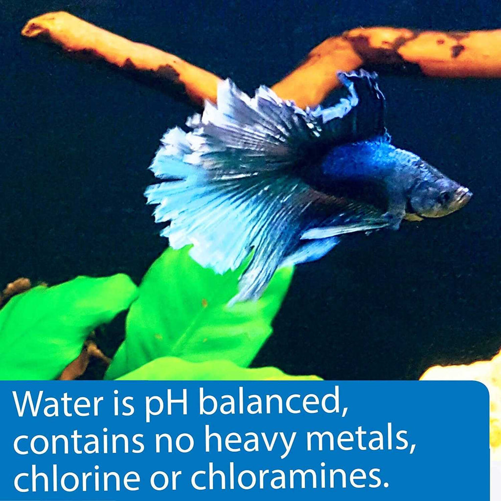 Betta Water T374384