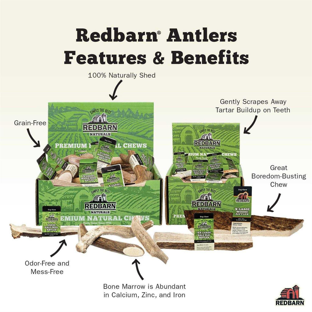 Deer Antler Pet Supplies P75586