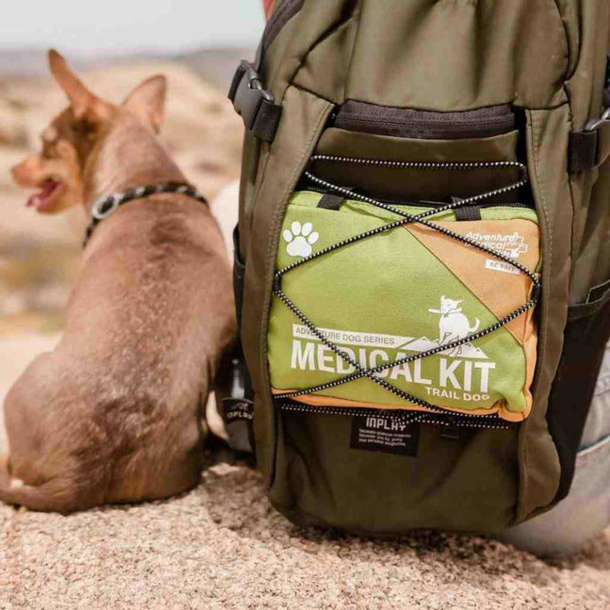 Dog First Aid Kit R281