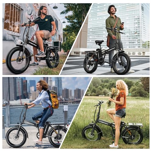 1000W Folding Electric Bike 48V 20.8AH Removable Battery 20" Fat Tire F3031