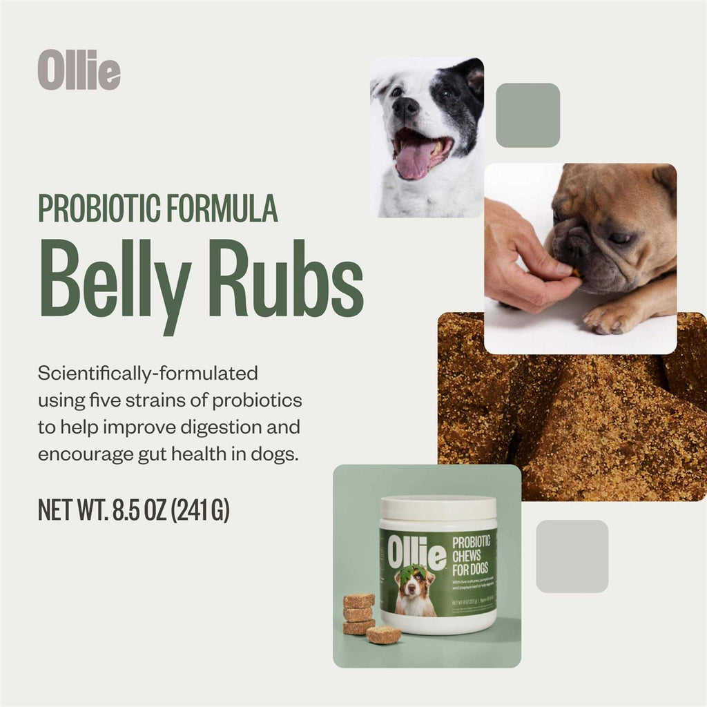 Probiotic Chews Dog Supplements D640819