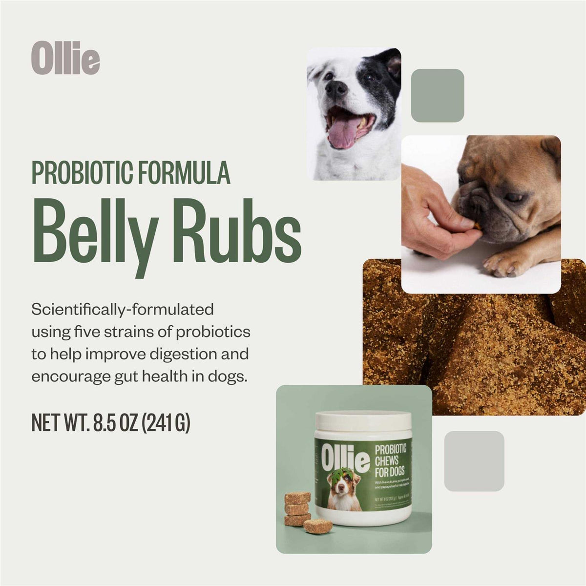 Probiotic Chews Dog Supplements D640819