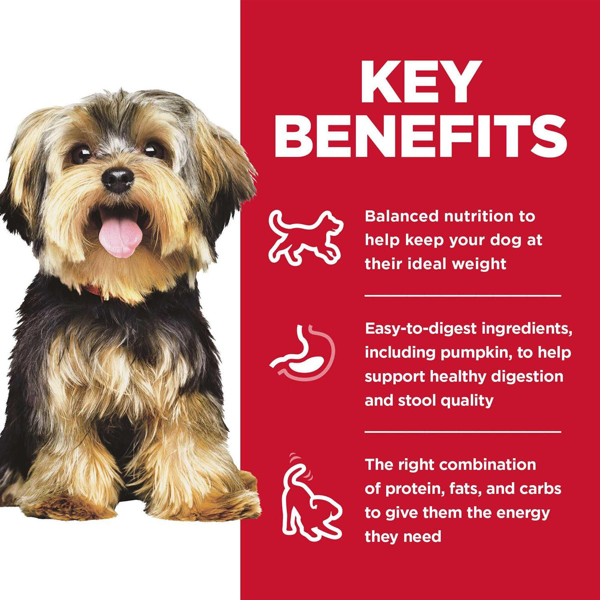 Adult Small Meal Rice Dry Dog Food T663675