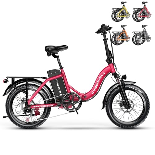 1000W Folding Electric Bike 48V 20.8AH Removable Battery 20" Fat Tire F3031