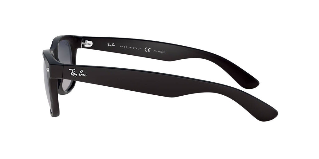 Matte Black Sunglasses F23804