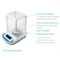 Precision Analytical Balance Digital Scale 300g B380