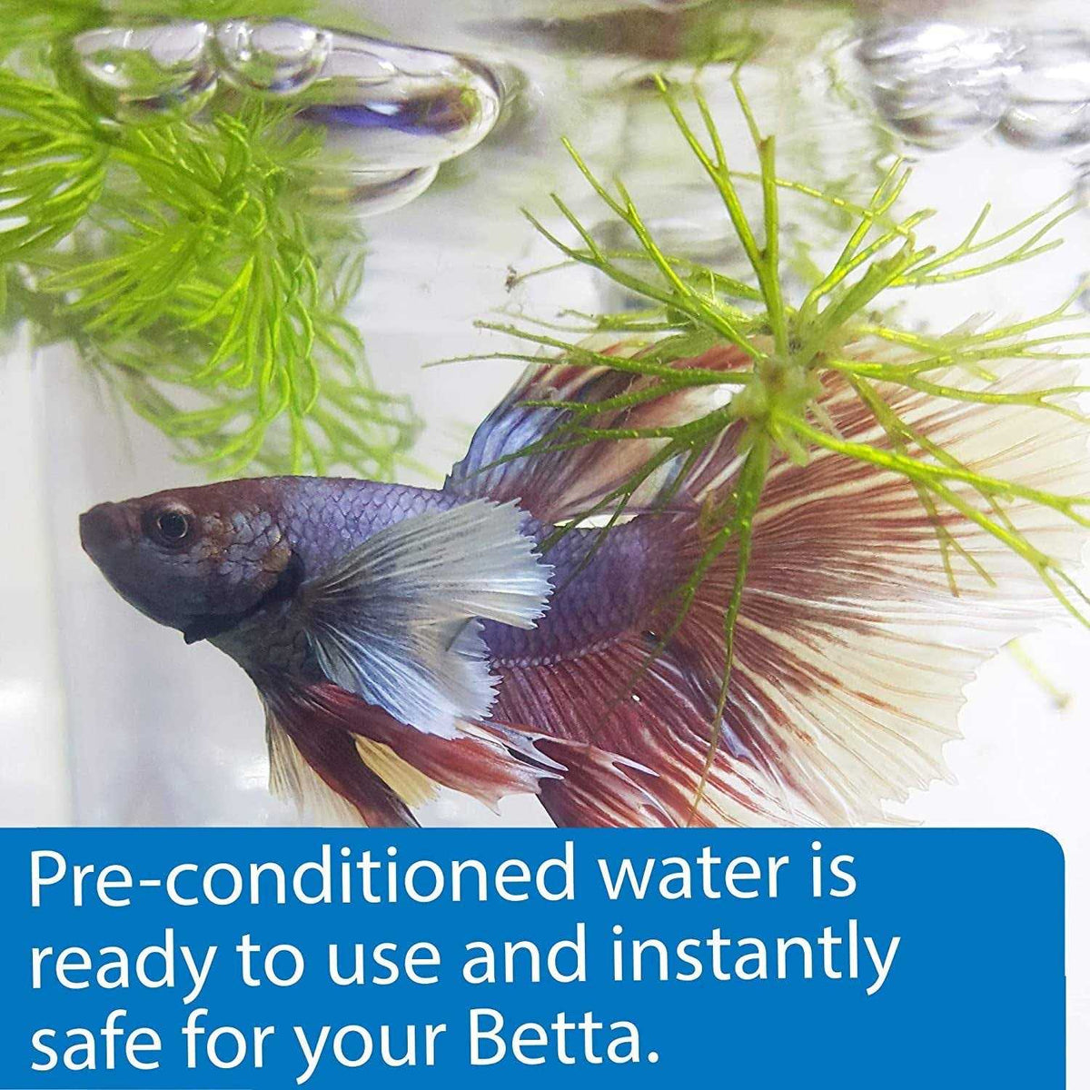 Betta Water T374384