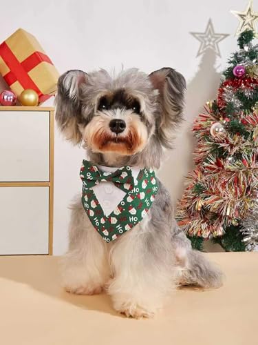 Green Plaid Dog Bandana with Bow Tie Y217300