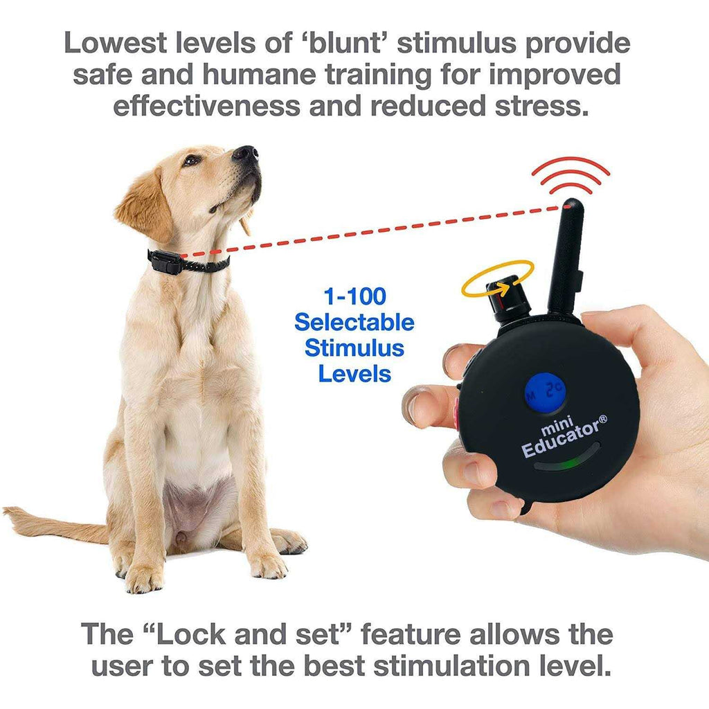 Dog Training Collar System with Remote O49411