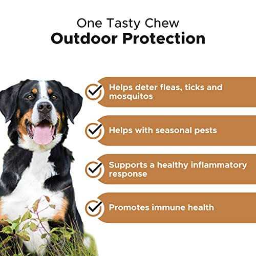 Flea & Tick Support Supplement Soft Chews for Dogs J8736