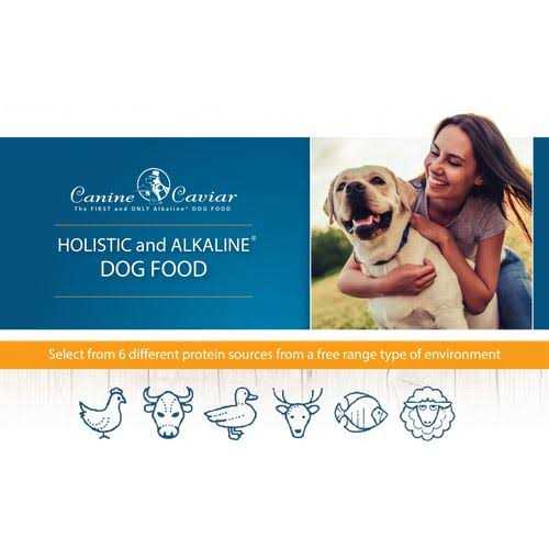 Limited Ingredient Dry Dog Food K1518