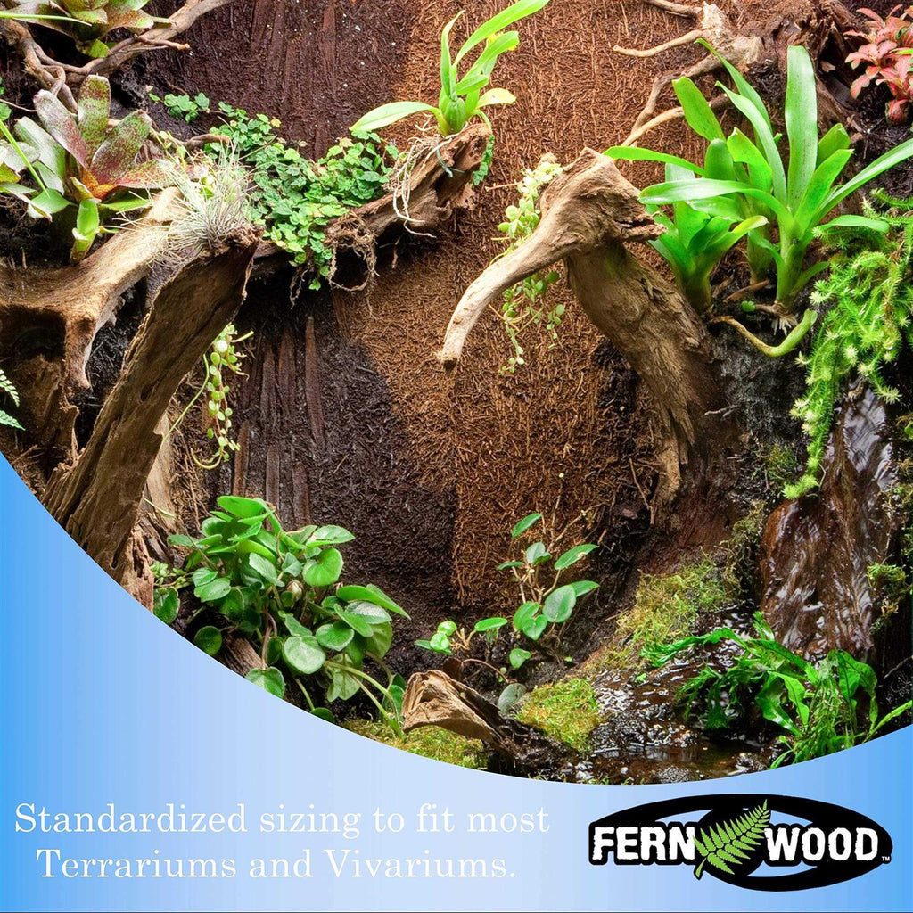 Fern Wood New Zealand Tree Fern Tropical Background Panel Twin Pack O4301