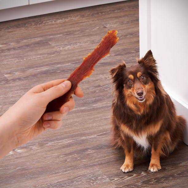 Dog Treats X2043