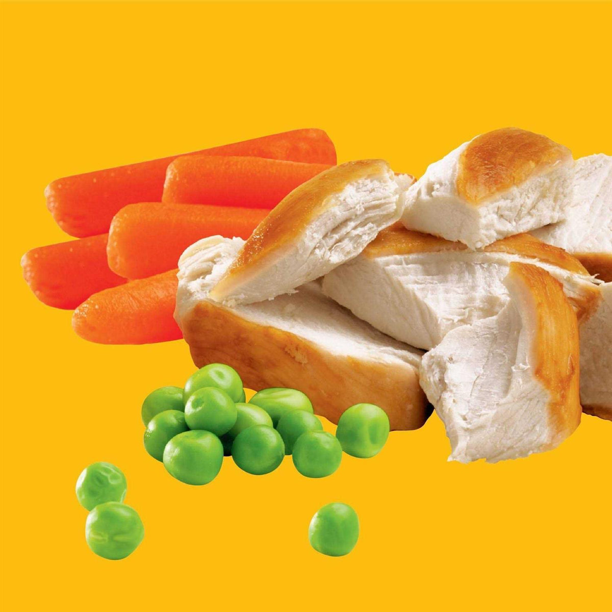 Chicken & Vegetable Dry Dog Food G392524