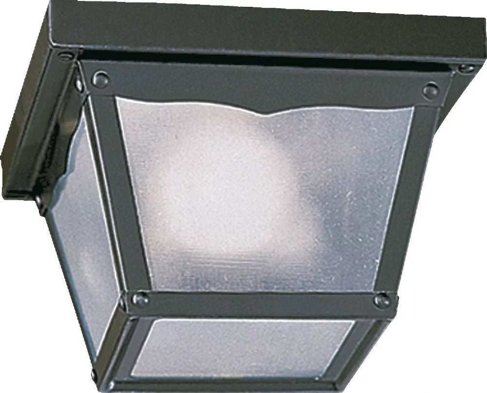 1 Light Outdoor Cage Flush Mount P615609