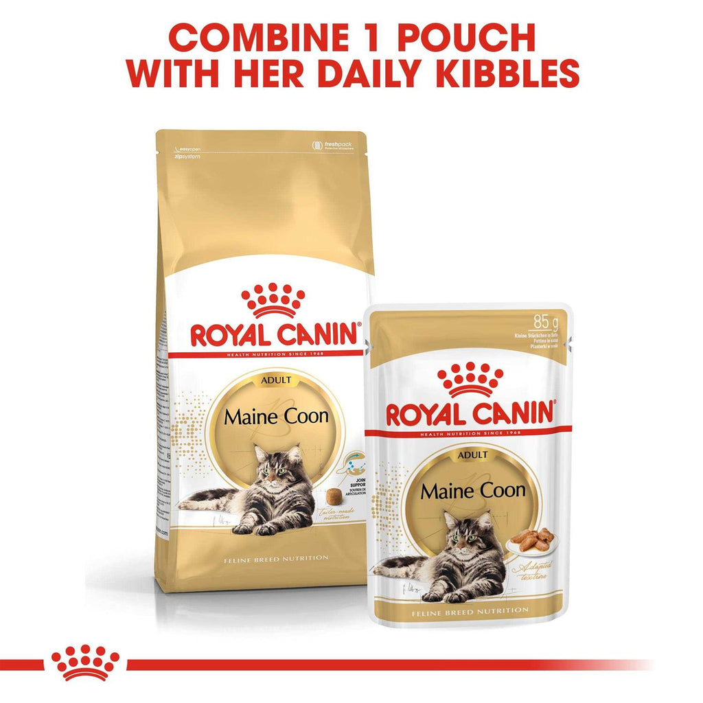 Maine Coon Dry Cat Food G5481
