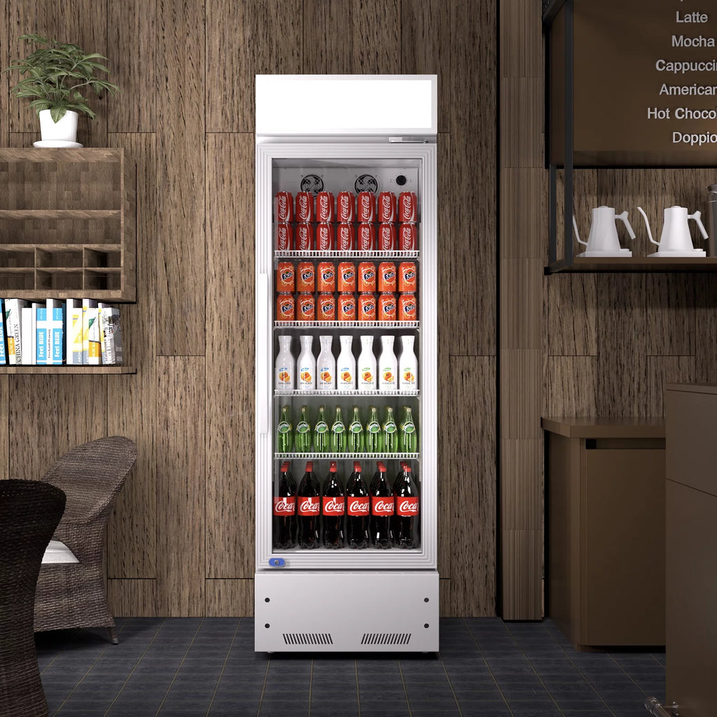 11 Cu.ft Glass Door Display Refrigerator B82891