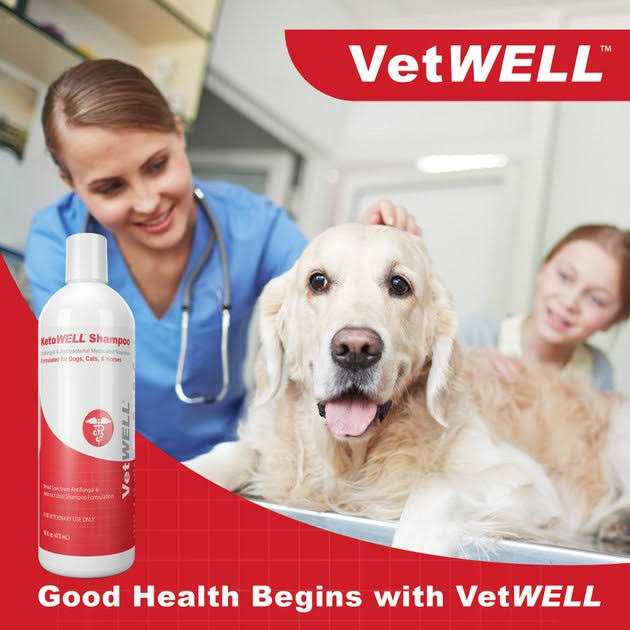 Antiseptic Dog Cat & Horse Shampoo O35268