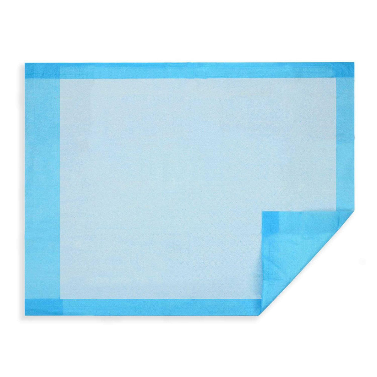 Disposable Underpads 2-Ply 17 X 24” M979367