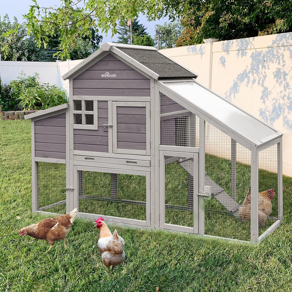 Chicken Coop with Run Large Nesting Box R52512