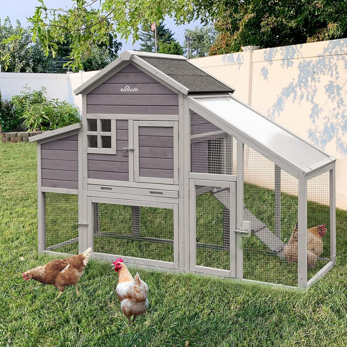 Chicken Coop with Run Large Nesting Box R52512