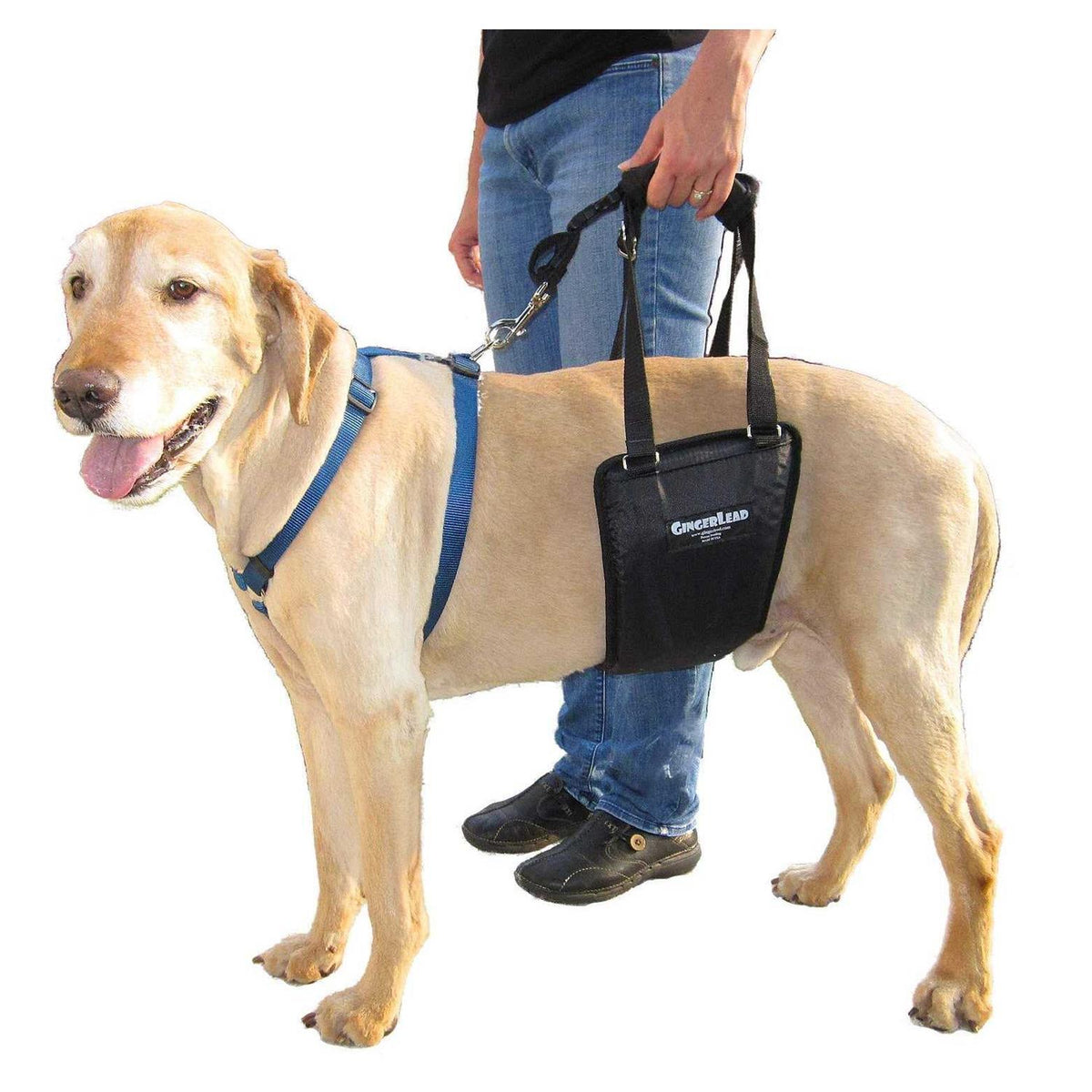 Dog Support Rehabilitation Harness D93552