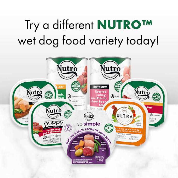 Chicken & Duck Recipe Wet Dog Food P697