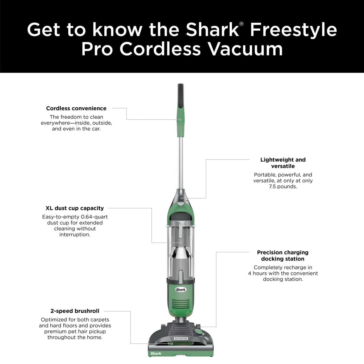 Cordless Vacuum with Charging Dock R115