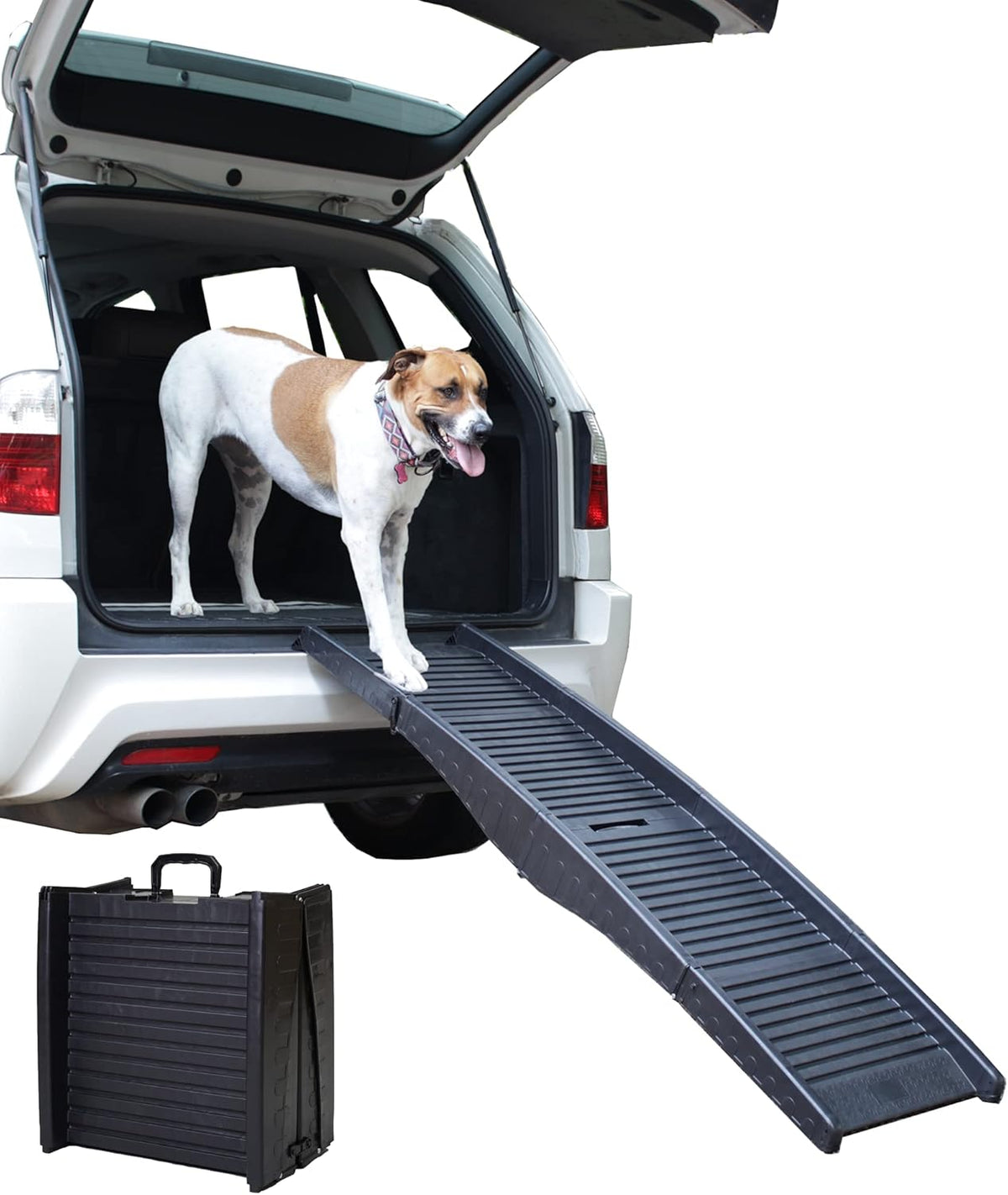 Compact Folding Pet Ramp B54043