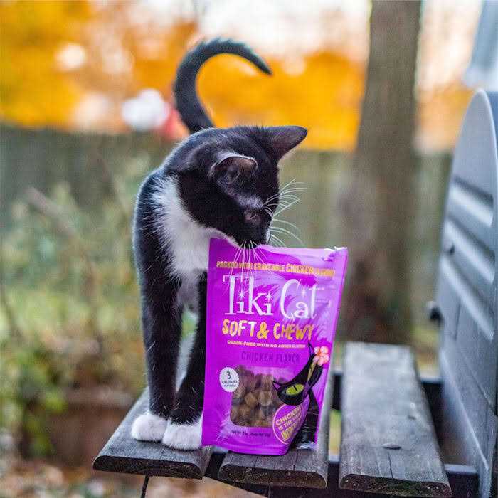 Chicken Soft & Chewy Cat Treats P8333
