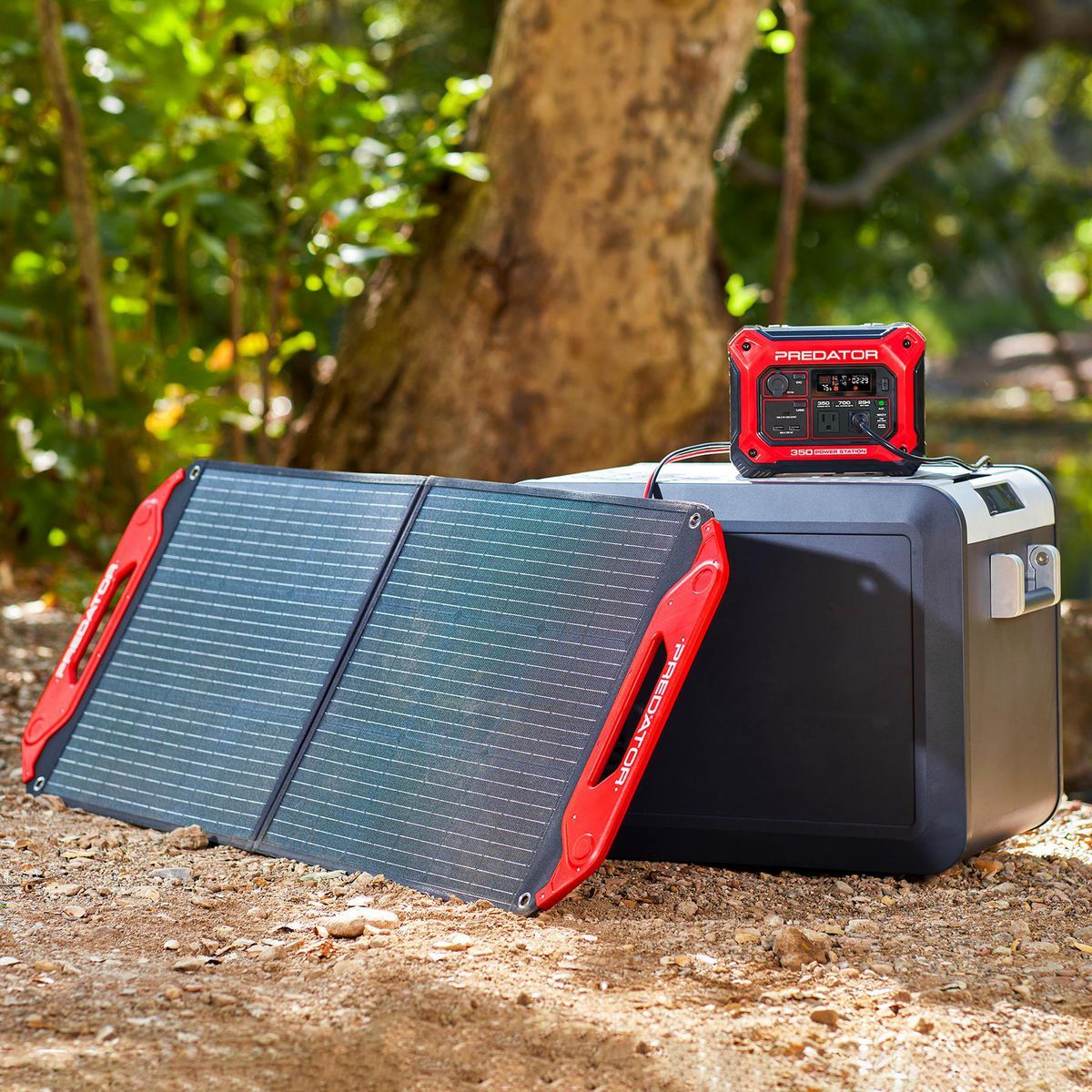350 Watt Power Station D979