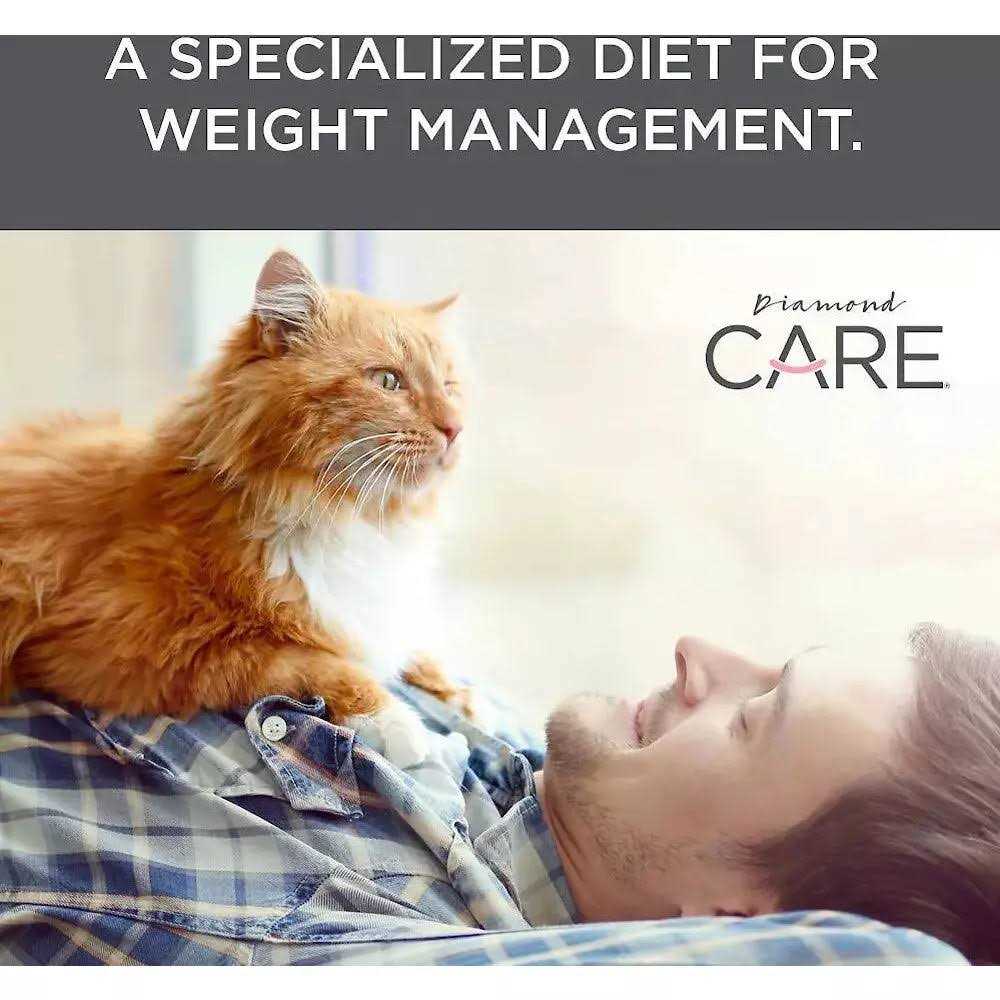 Adult Dry Cat Food X817524
