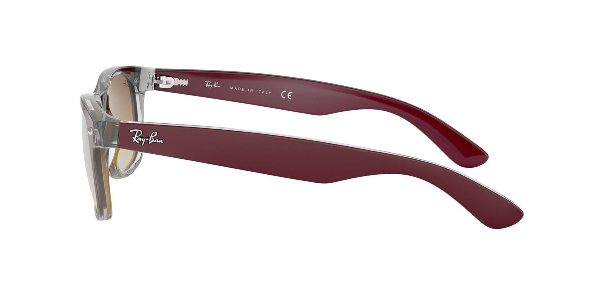 Matte Black Sunglasses F23804