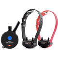 Dog Training Collar System with Remote O49411