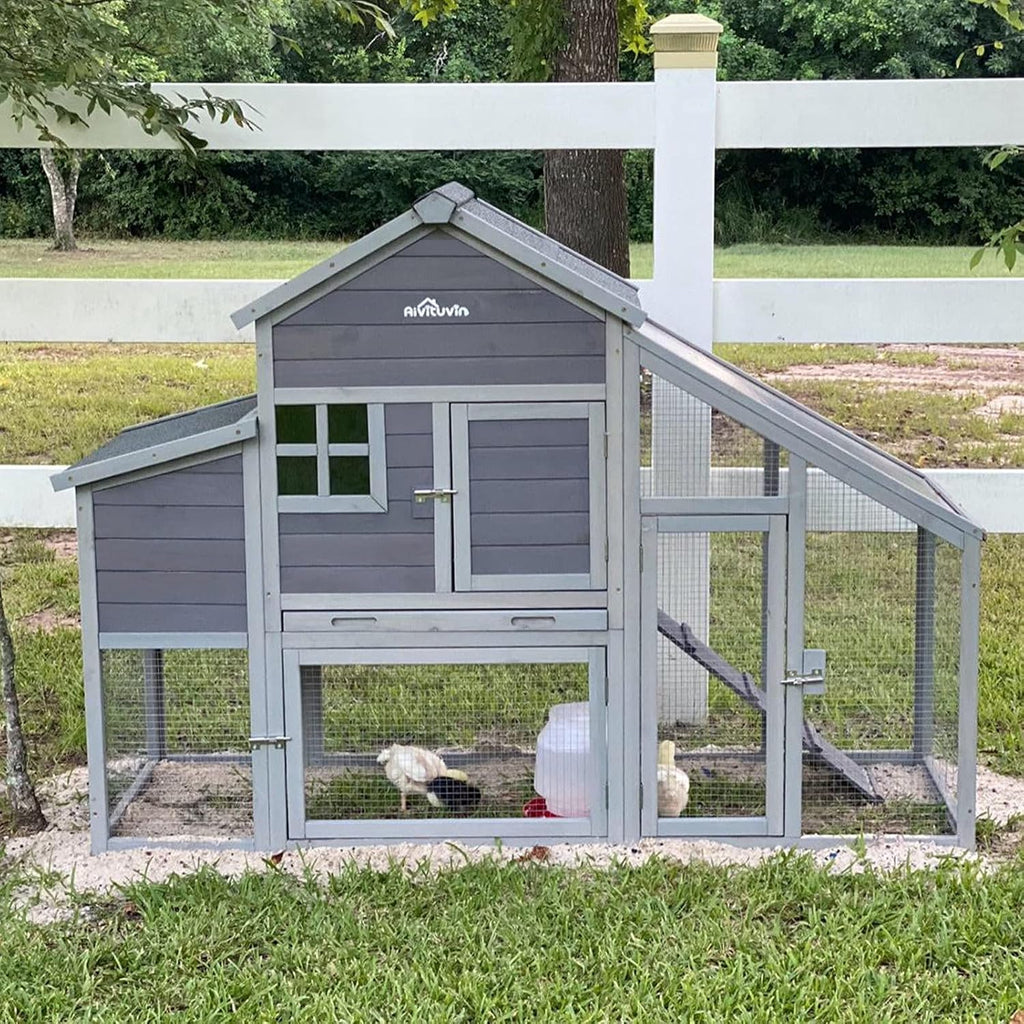 Chicken Coop with Run Large Nesting Box R52512