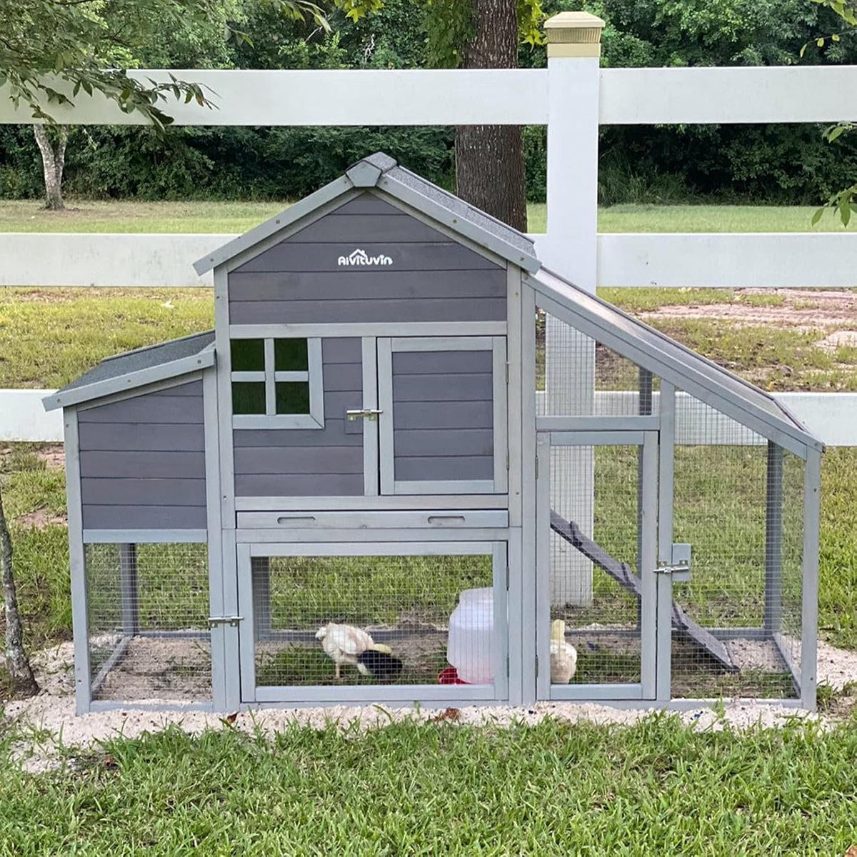 Chicken Coop with Run Large Nesting Box R52512