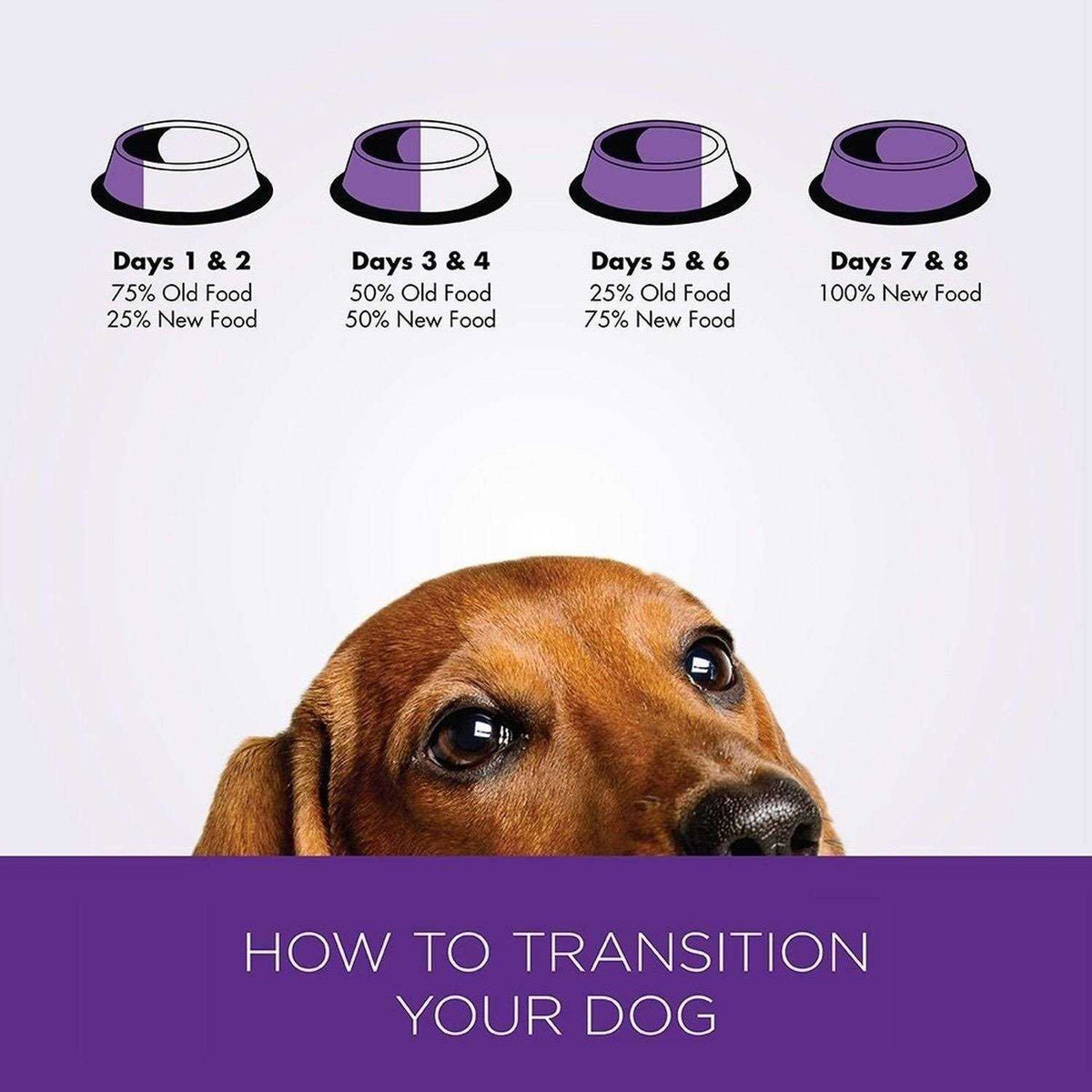 Small Breed Dog Food S734