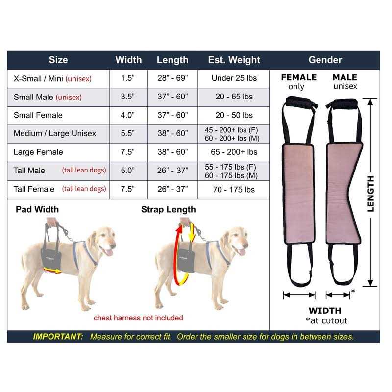 Dog Support Rehabilitation Harness D93552