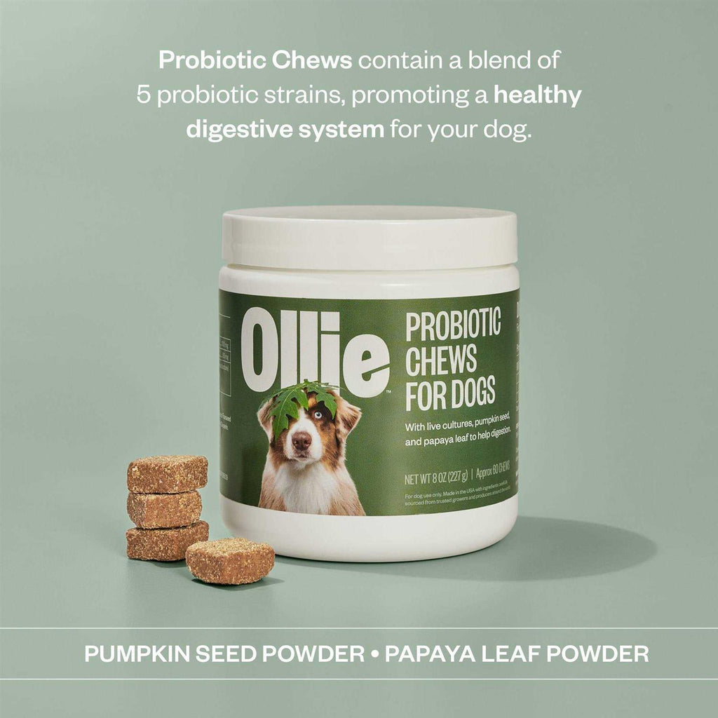 Probiotic Chews Dog Supplements D640819