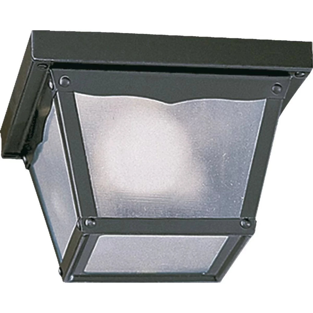 1 Light Outdoor Cage Flush Mount P615609